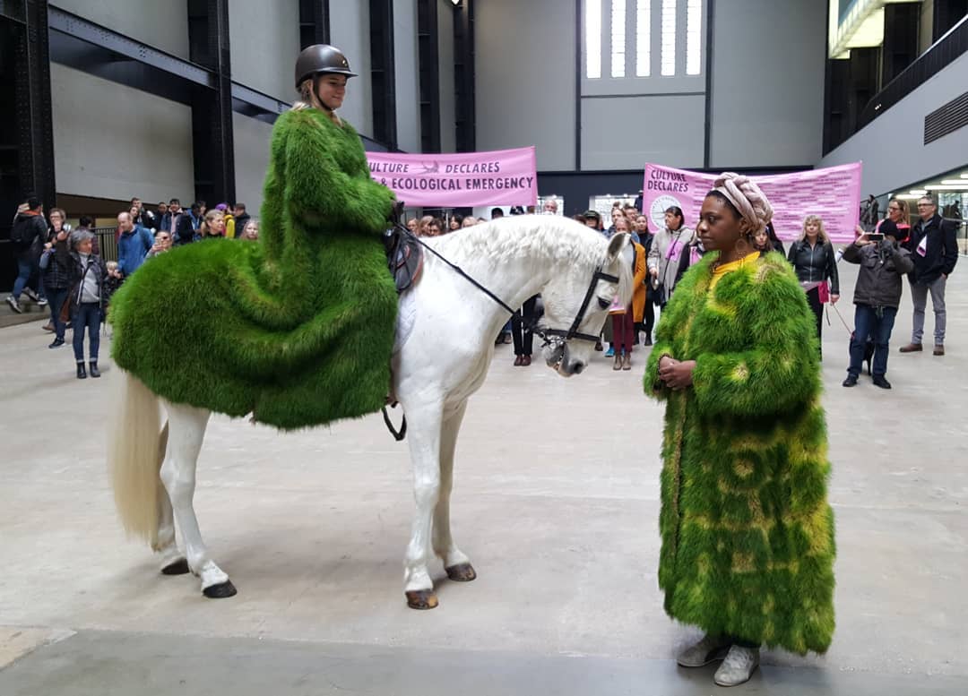 55875303_10157181618836499_6703222670810415104_o