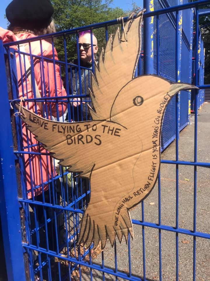 leave flyring to the birds