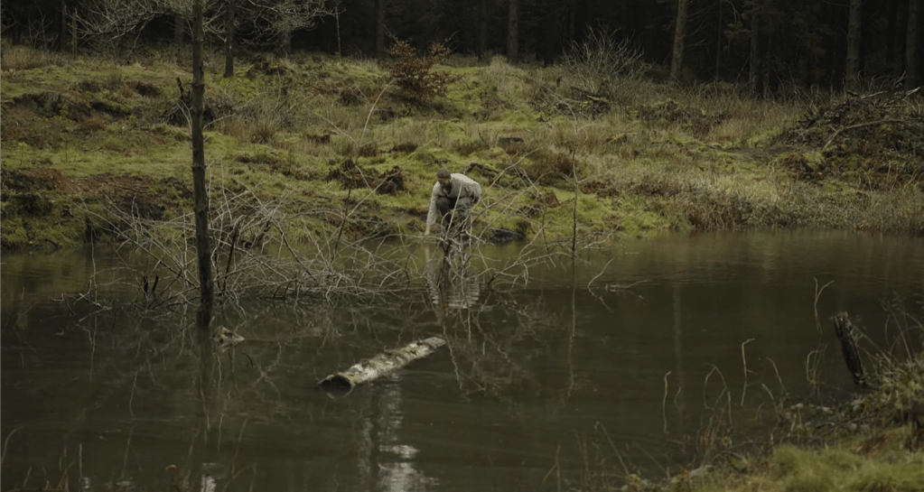 Zugunruhe by Mechanimal