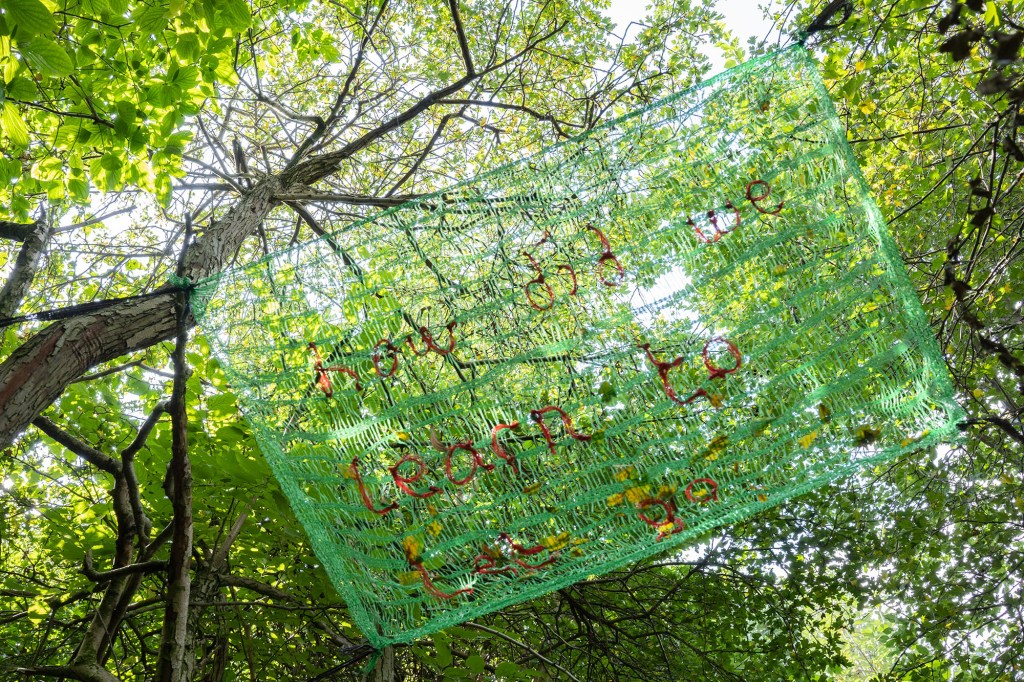 Installation - netting hung in the trees - from Hayley Harrison‘s project