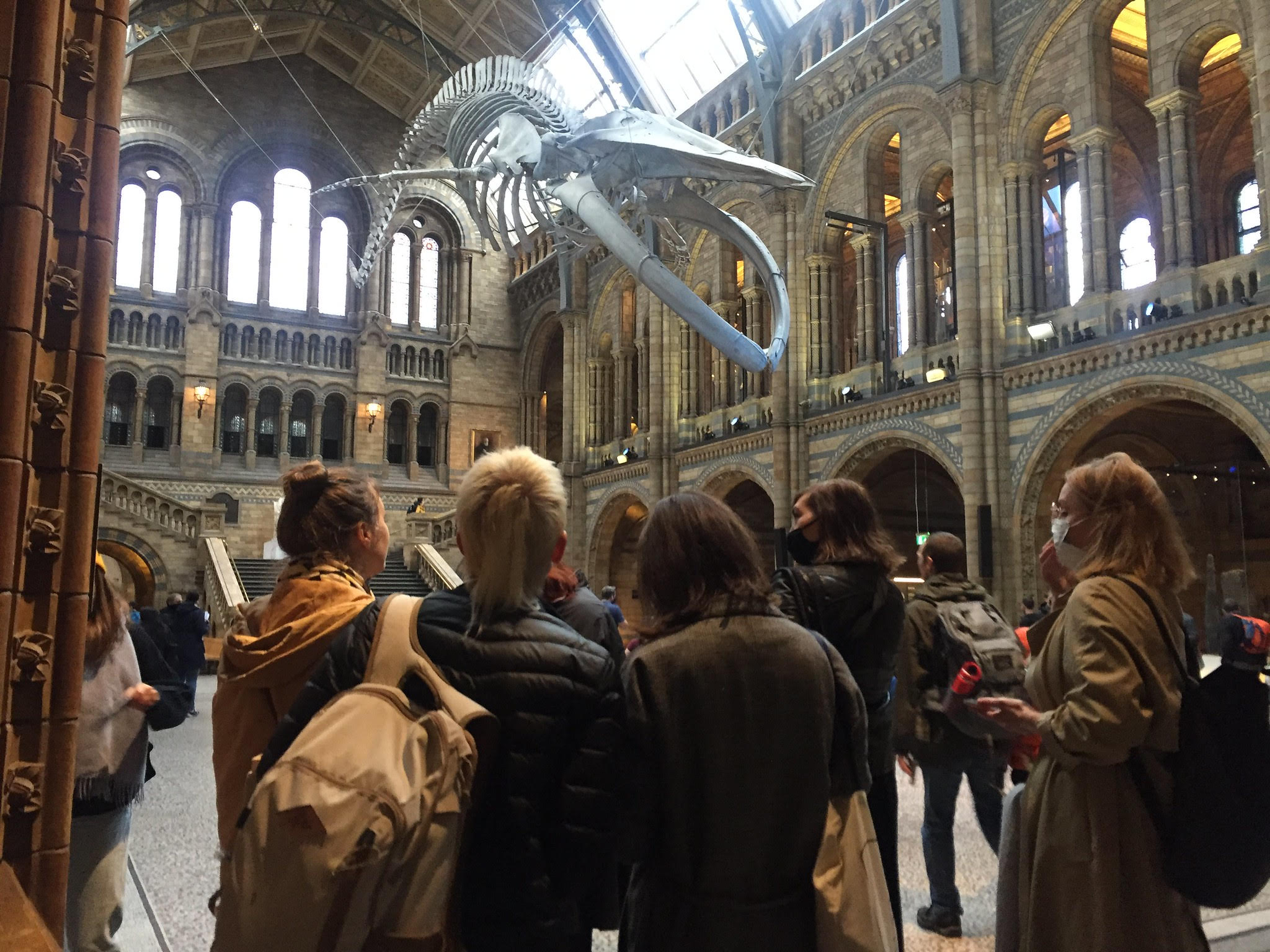 Amateur Ancestor Tour at the Natural History Museum, led by Justine Boussard