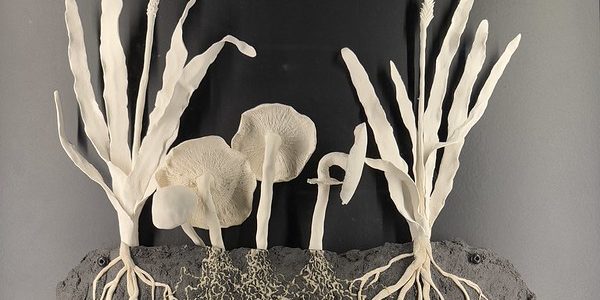 Spring Equinox Newsletter&nbsp;2025