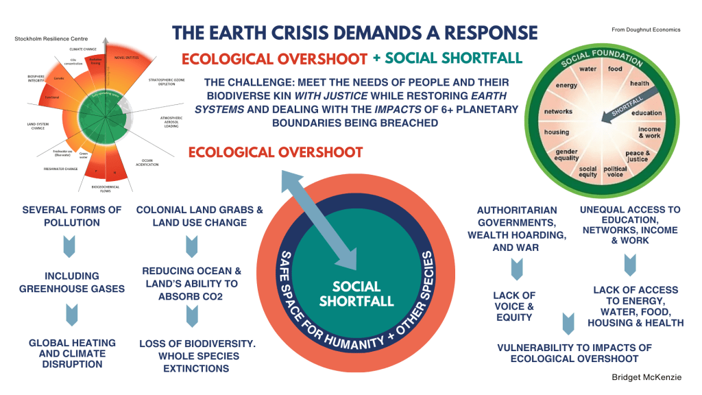 Regenerative culture for a sustained&nbsp;future